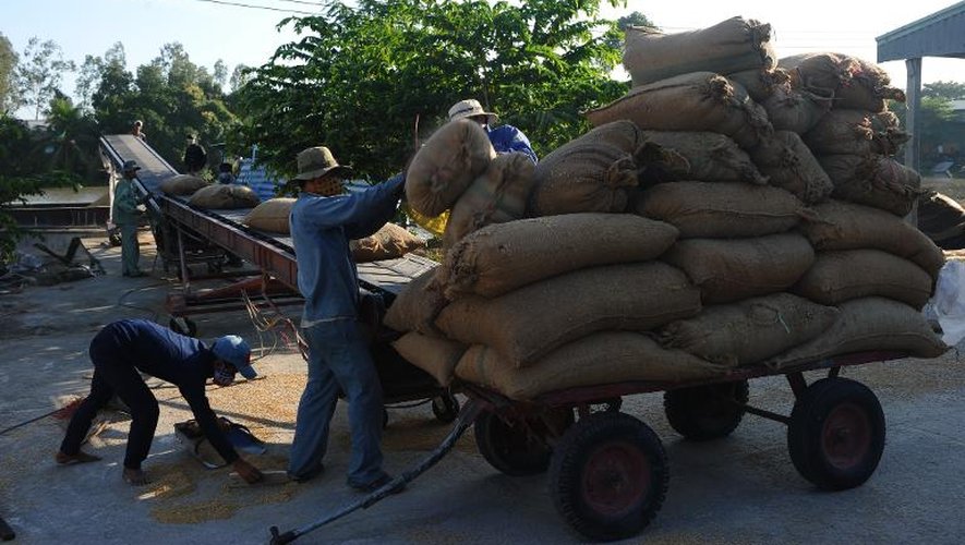 Des ouvriers transportent des sacs de riz dans le delta du Mékong pour les vendre à un client le 10 décembre 2014