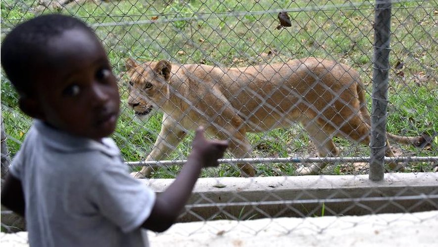 Un enclos au zoo d'Abidjan, le 10 mars 2015