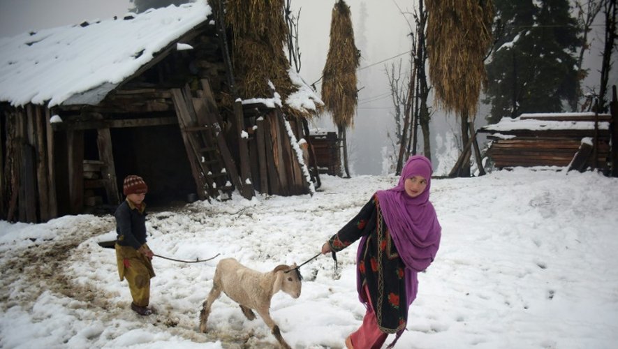 Une Pakistanaise  tire une chèvre le 12 novembre 2015 dans la vallée de Neelum au Cachemire