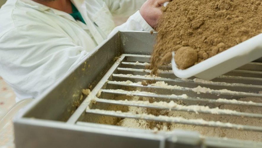 Un employé de "l'Atelier à pâtes" mélange les farines d'épautre et d'insectes dans la machine, le 8 février 2016 à Thiefosse en France