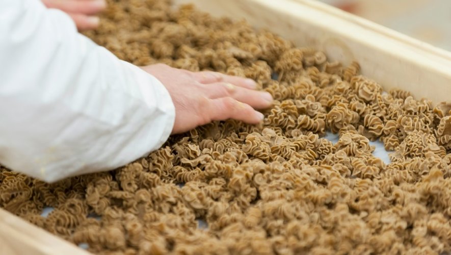 "L'Atelier à pâtes" fabrique des produits à base de farine d'insectes, le 8 février 2016 à Thiefosse en France
