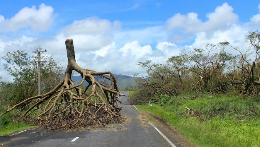 Photo non datée, fournie par le gouvernement des îles Fidji le 22 février 2016, montrant un arbre déraciné après le passage du cyclone Winston dans l'ouest des Fidji