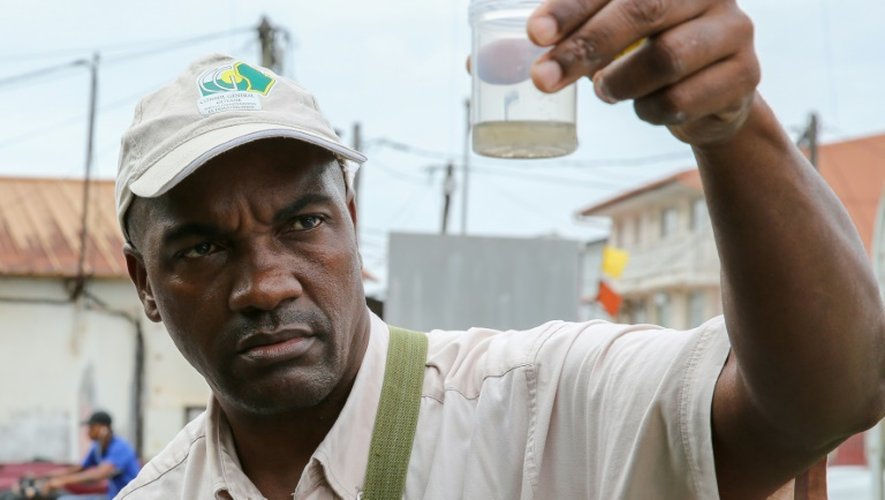 Un employé de la collectivité territoriale de Guyane collecte des larves de moustiques pendant une opération contre le virus du Zika, à Cayenne, le 19 février 2016