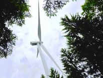 Eoliennes : les députés font marche arrière