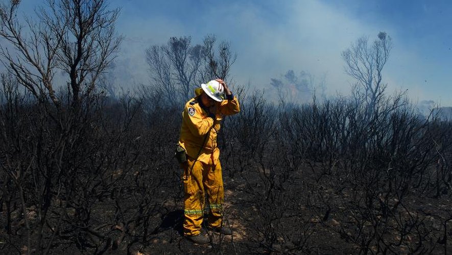 Un pompier dans les Blues Mountains le 23 octobre 2013 en Australie
