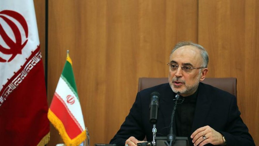 Le chef de l'organisation de l'énergie nucléaire iranienne, Ali Akbar Salehi, lors d'une conférence de presse à Téhéran le 11 novembre 2013