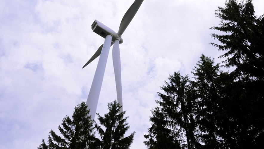 Pour Canopée 12  l'éolien pourraient devenir un élément incontournable de la politique énergétique française.