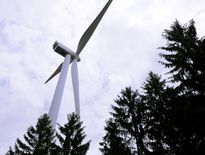 Environnement : Canopée 12 dit oui à l'éolien mais sous conditions