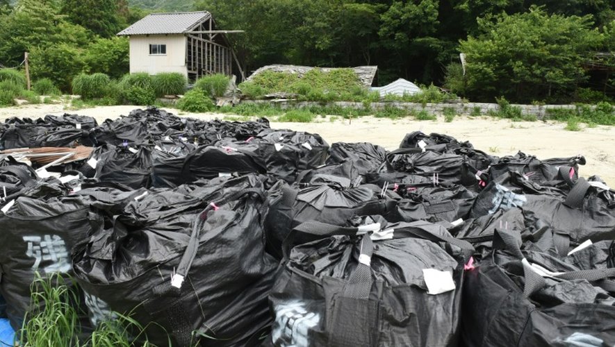 Des sacs remplis de terre contaminé par des radiations sont empilés près du village de Iitate, dans le district de Fukushima, le 17 juillet 2015