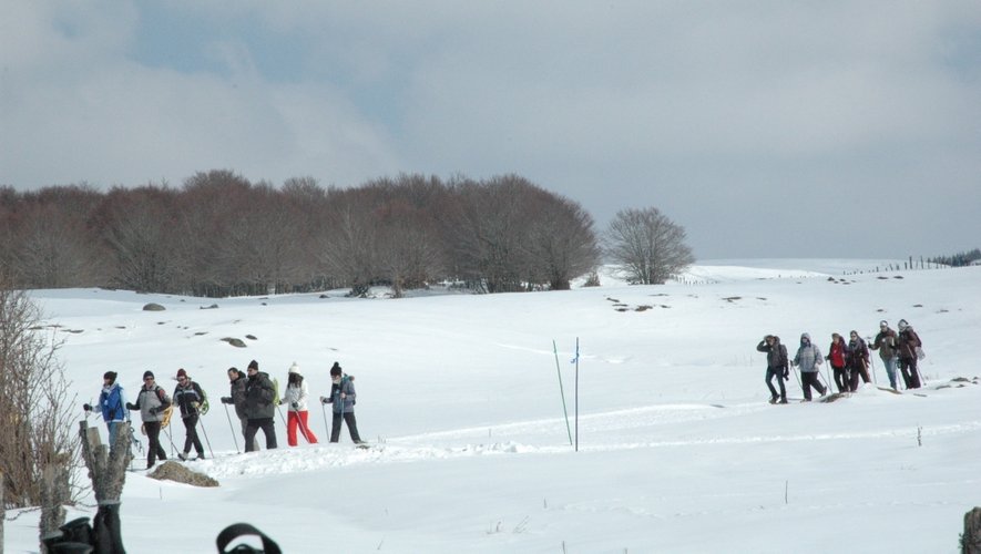 Chaussés de raquettes ou de skis de fond, les randonneurs ont profité d'un paysage magnifique, enneigé et sous le soleil.