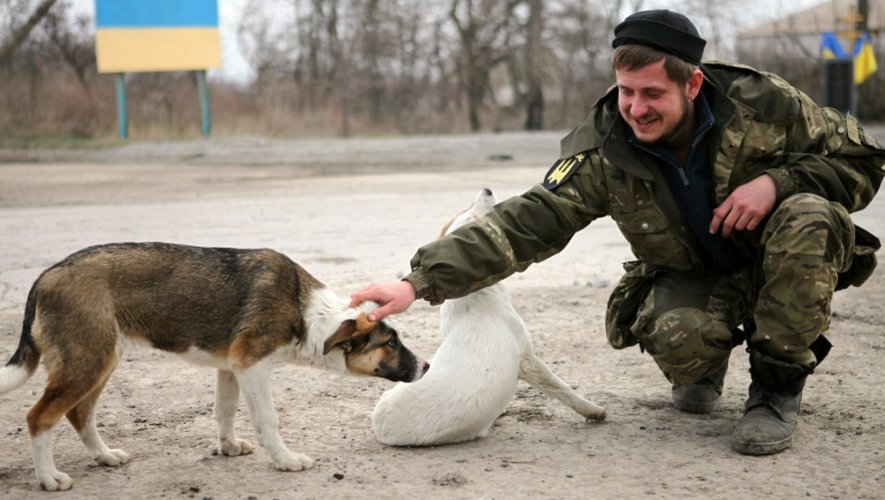 Un soldat ukrainien caresse des chiens près de Sartana, dans l'est de l'Ukraine, le 29 février 2016