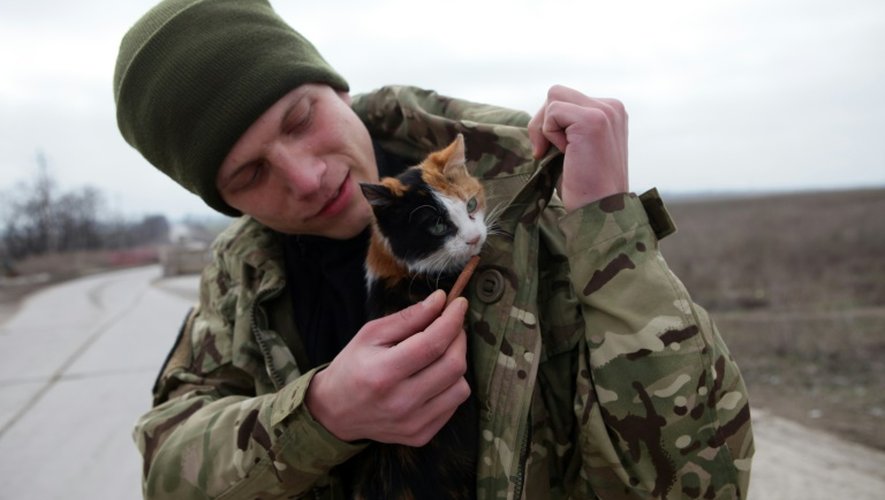 Un soldat ukrainien et son chat à un checkpoint près de Sartana, dans l'est de l'Ukraine, le 29 février 2016