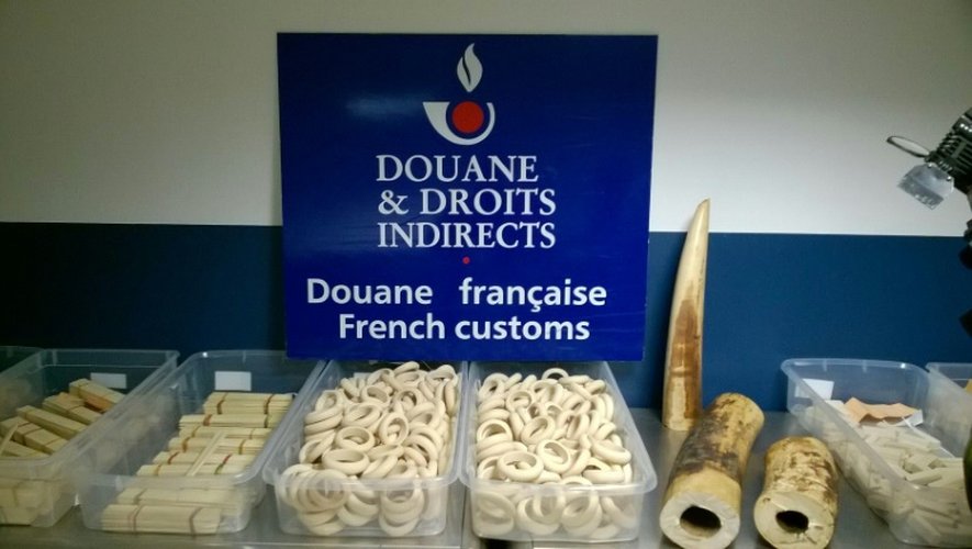 Cette photographie transmise par les douanes françaises le 10 décembre 2015 montre une saisie de bracelets en ivoire et de cornes réalisée à l'aéroport Roissy-Charles-de-Gaulle à Paris