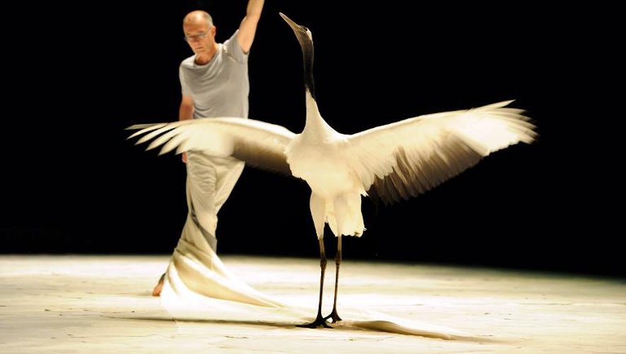 Luc Petton danseur et chorégraphe répète sur la scène du Théâtre de Chaillot, le 2 mai 2015 son spectacle avec une grue venant de Mandchourie