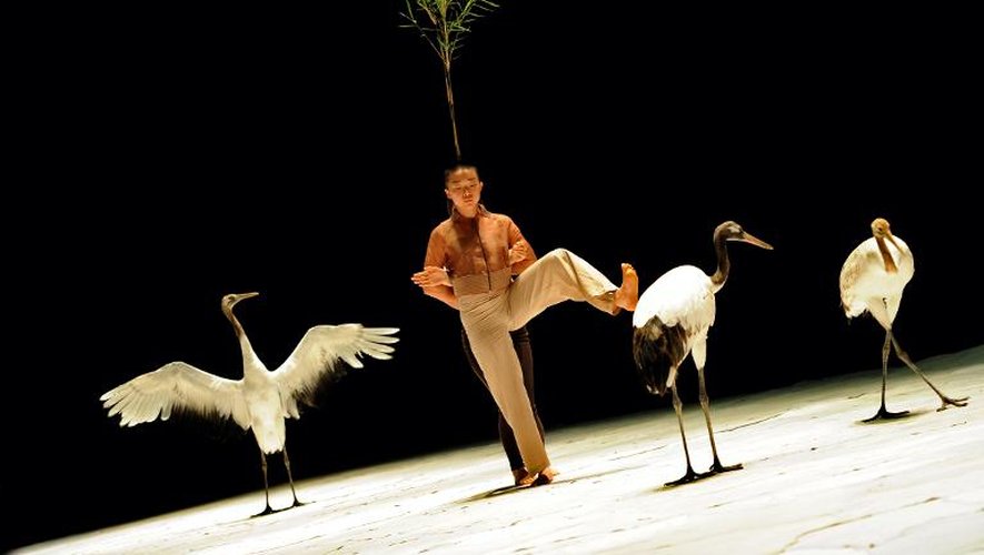 Le danseur coréen Yura Park sur la scène du Théâtre de Chaillot le 2 mai 2015, lors d'une répétition du spectacle "Light Bird" avec des grues venant de Mandchourie