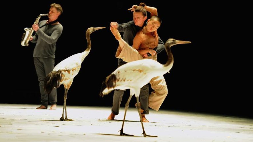Danseurs et musiciens répètent sur la scène du Théâtre de Chaillot le spectacle "Light Bird", avec des grues de Mandchourie, le 2 mai 2015