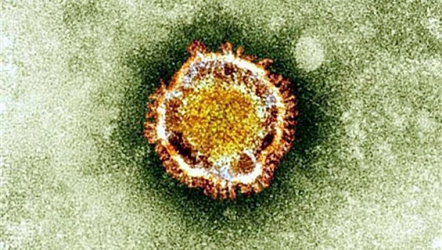 Photo non-datée du virus vu au microscope, fournie par l'Agence britannique pour la protection de la santé