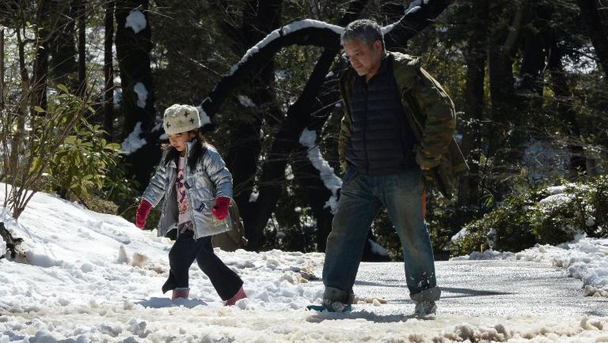 Des Japonais marchent avec précaution sur la neige dans un parc de Tokyo, le 9 février 2014