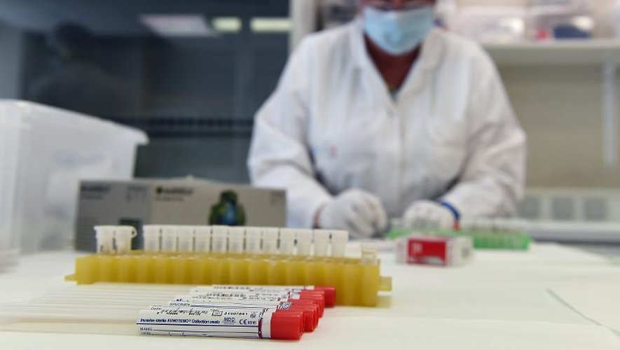 Un technicien de laboratoire de l'Institut national de la police scientifique de Marseille procède à des tests sur des restes humains retrouvés à Fréjus le 30 avril 2015