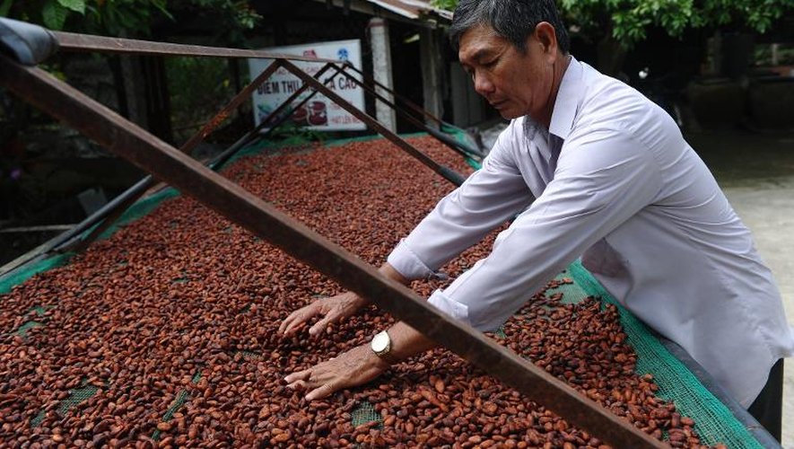 Vo Thanh Phuoc inspecte des fèves de cacao dans le dictrict de Go Cong Tay le 18 novembre 2013