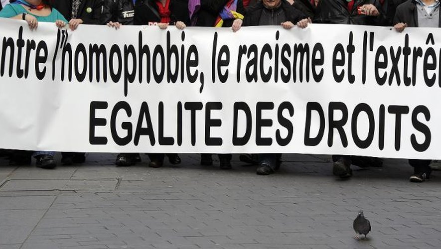 Manifestation pour la "fraternité républicaine", le 22 février 2014 à Toulouse