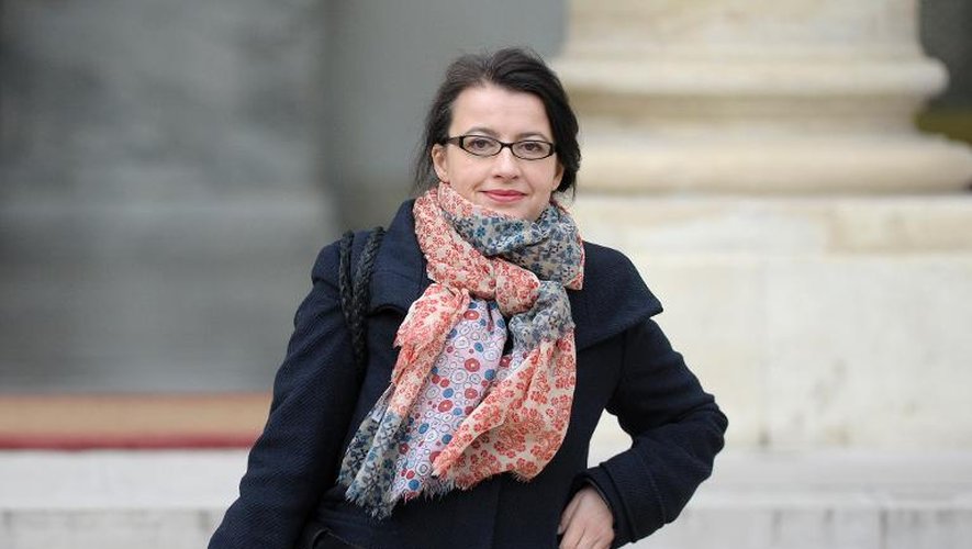 La ministre du Logement Cécile Duflot à l'issue du Conseil des ministres le 22 janvier 2014 à l'Elysée à Paris