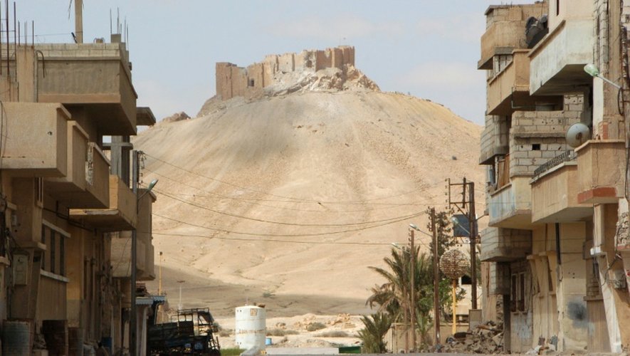 Une vue générale de la citadelle de Palmyre, après que l'armée syrienne, appuyée par la Russie, l'ait reprise aux forces du groupe jihadiste État islamique, le 27 mars 2016