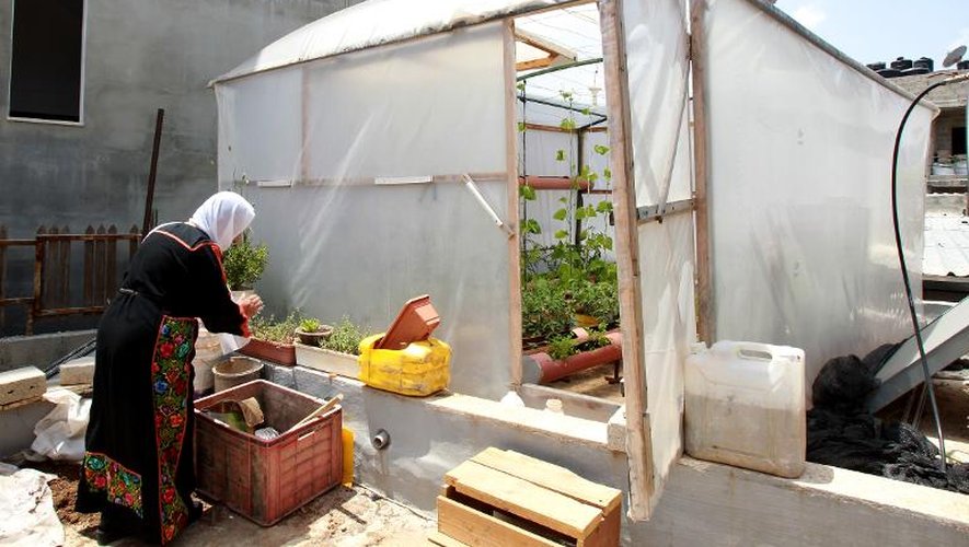 Une Palestinienne du camp de Dheicheh près de Bethléem en Territoires palestiniens cultive son jardin sur le toit, le 12 mai 2015