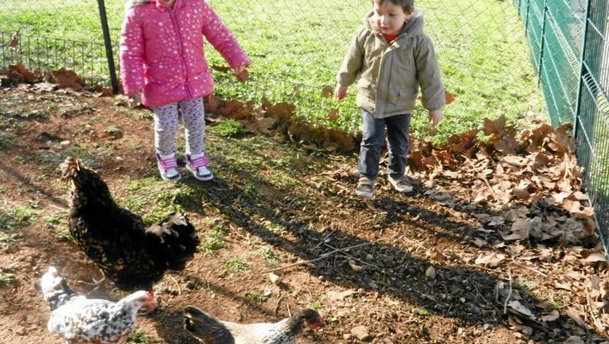 Onet-le-Château : des poules au jardin d’enfants des Costes-Rouges