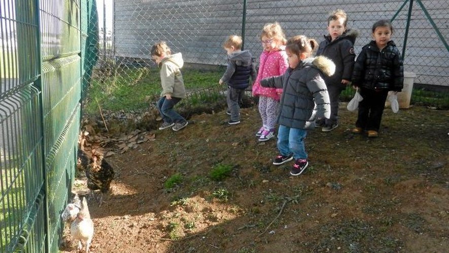 Onet-le-Château : des poules au jardin d’enfants des Costes-Rouges