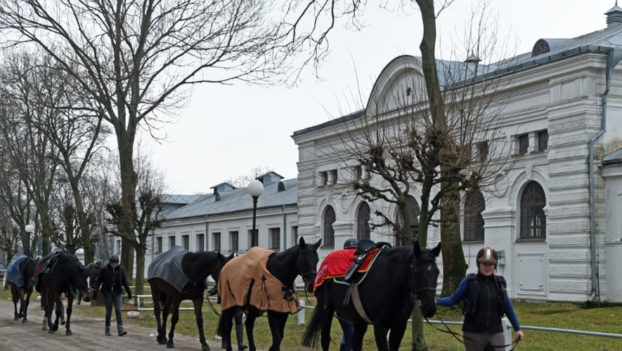 De jeunes cavaliers sortent les chevaux, dans le haras polonais de Janow Podlaski, près de Varsovie, le 3 mars 2016