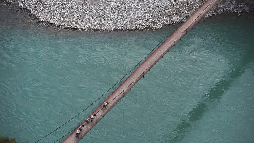 Un convoi d'ânes traverse un pont sur le fleuve Salouen, appelé "Nu" par les Chinois, le 18 mars 2015