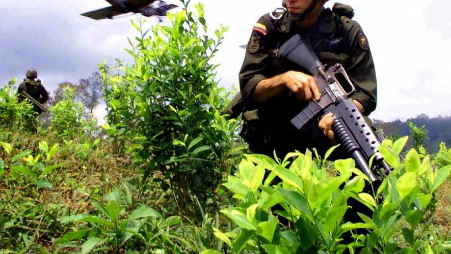 Un avion asperge au glyphosate des champs de coca en Colombie pendant qu'un soldat surveille les alentours, le 12 septembre 2000