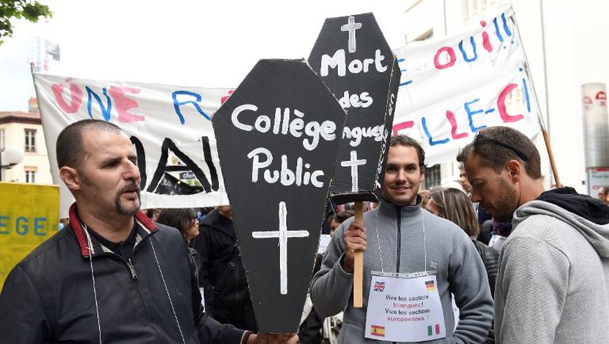 Manifestation contre la réforme du collège le 19 mai 2015 à Lyon