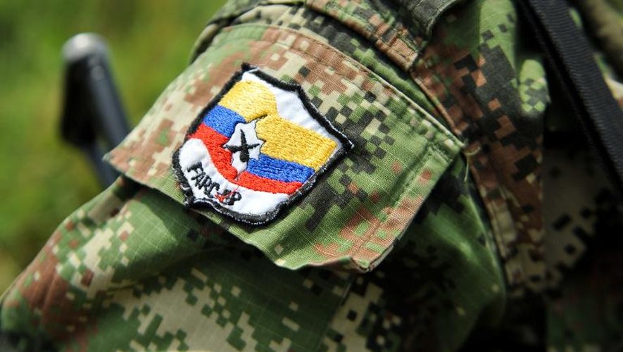 Un membre des Farc dans les régions montagneuses du département de Cauca, près de Montealagre en Colombie, le 15 février 2013