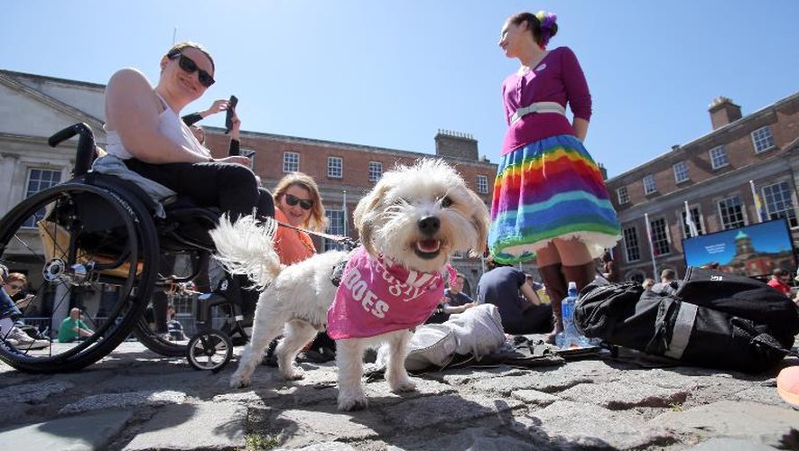 Des partisans du mariage gay attendent le résultat du référendum irlandais, le 23 mai 2015 à Dublin