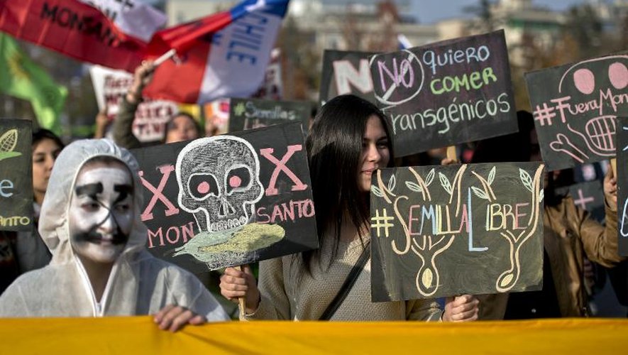 Des manifestants contre Monsanto et les OGM à Santiago du Chili le 23 mai 2015