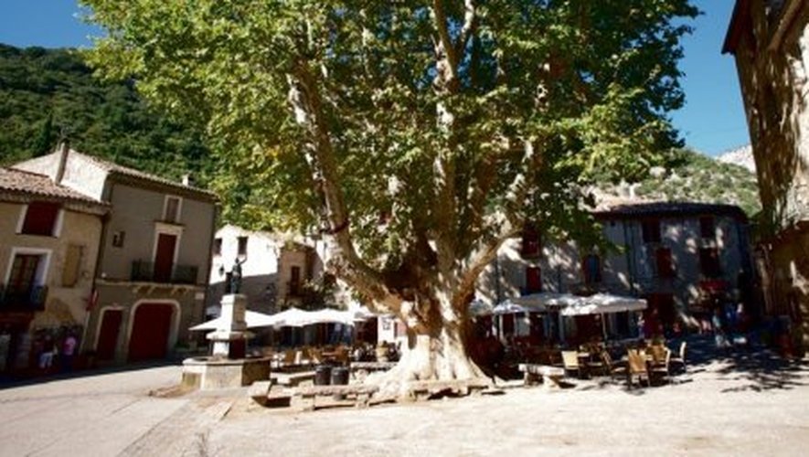 Clermont-l’Hérault Le plus ancien marché du Languedoc