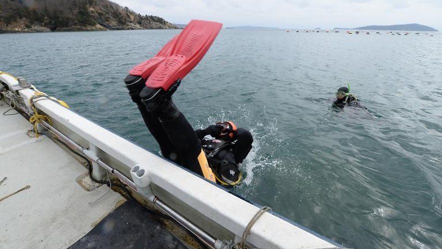 Yasuo Takamatsu (C) plonge dans la mer, le 2 mars 2014 à Onagawa, sur la côte est du Japon, pour tenter de retrouver sa femme disparue dans le tsunami il y a trois ans
