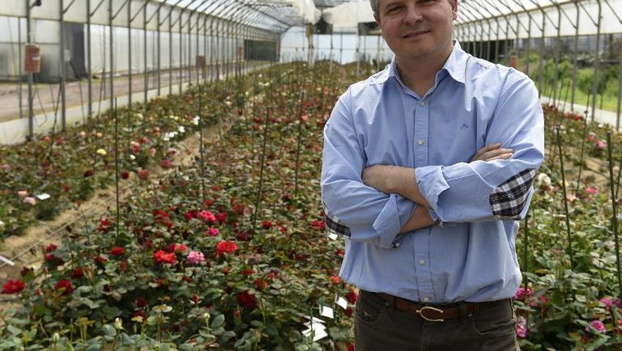 Arnaud Delbard, créateur de fruits et de roses, dans une serre de roses, le 4 mai 2015 à Malicorne, en Auvergne