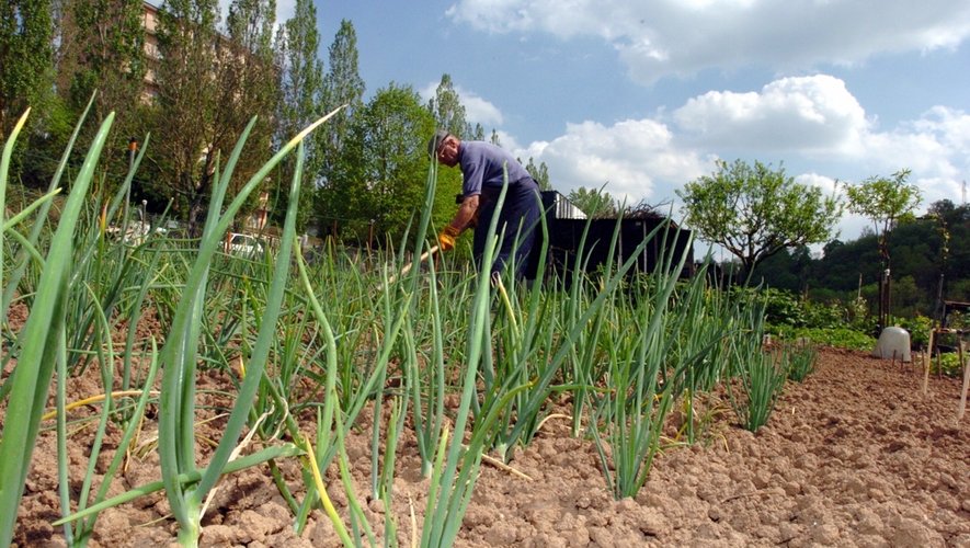 En Aveyron, plus de 500 fermes sont désormais labellisées bio.