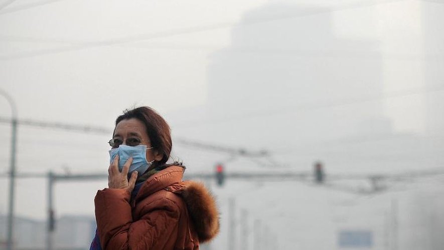 Une femme portant un masque anti-pollution dans une rue de Pekin le 16 janvier 2014