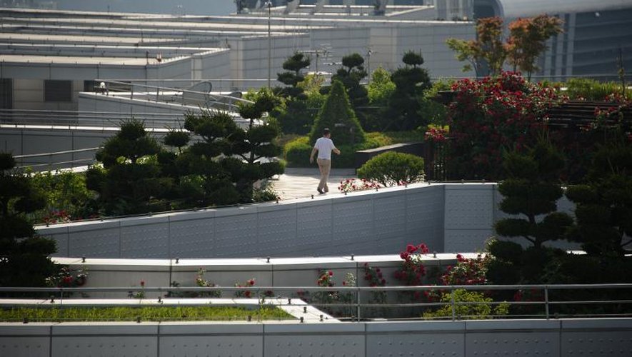 Un homme se promène dans le jardin sur le toit du centre commercial "Garden 5" à Séoul, le 21 mai 2015