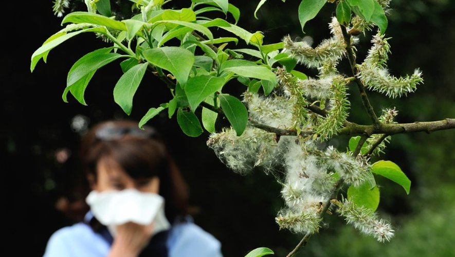 Photo d'une femme qui souffre d'une allergie  aux pollens prise le 18 mai 2013 à Godewaersvelde, dans le nord de la France