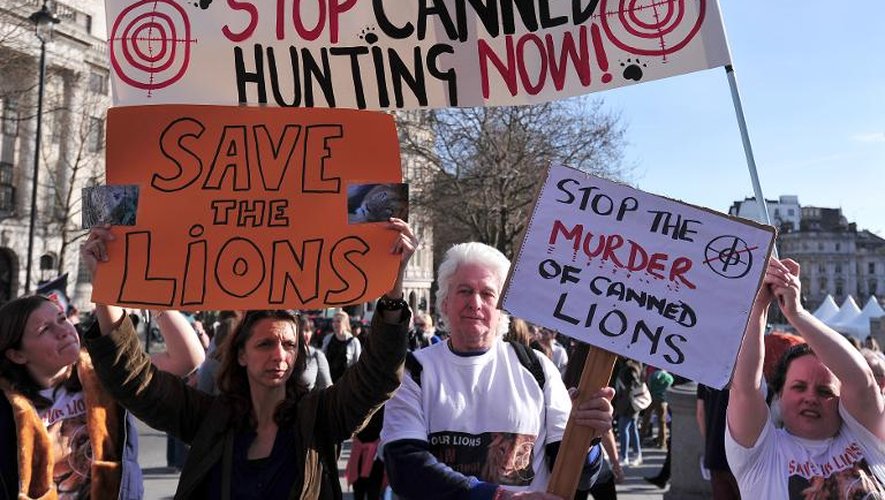 Manifestants contre la "chasse en conserve" des lions, le 15 mars 2014 à Londres