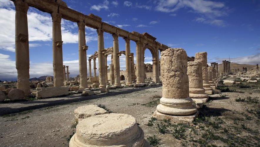 Une partie de l'ancienne oasis de Palmyre, à 215 km au nord-est de Damas, désertée par les touristes, le 14 mars 2014