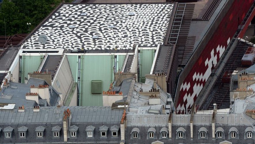 Vue prise le 6 juin 2013 de l'oeuvre aborigène réalisée par Lena Nyadbi, sur le toit du musée Branly à Paris