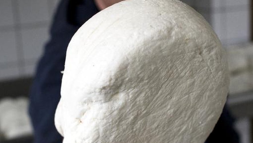 "Le secret, c'est le lait", explique Prokopis Ploumbis, patron d'une fromagerie artisanale à une soixantaine de kilomètres d'Athènes, montrant, ici, un morceau de feta, le 20 février 2014
