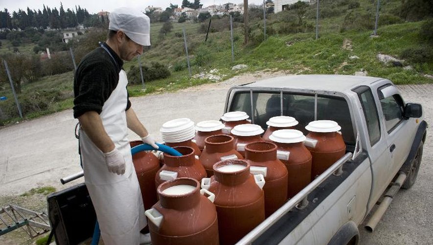 Des tonneaux de lait de brebis dans une ferme près d'Athènes le 20 février 2014. Cas singulier en Europe, la Grèce produit autant de lait de brebis et de chèvre que de lait de vache