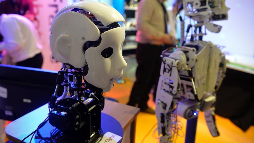 Des robots humanoïdes au salon Innorobo de Lyon, le 19 mars 2014